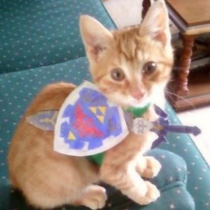 Meet your Posher, Virus